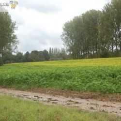 dsc 0525 - Sportraad Zaventem 